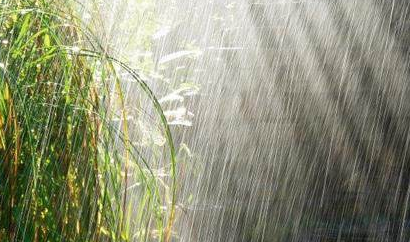 如何健康度過多雨季節(jié)？陜西千秋電子治療儀