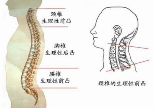 千萬(wàn)別把“富貴包”當(dāng)成富貴