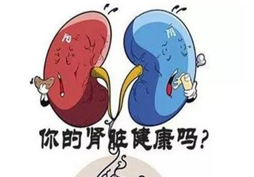 哪些行為會(huì)傷腎