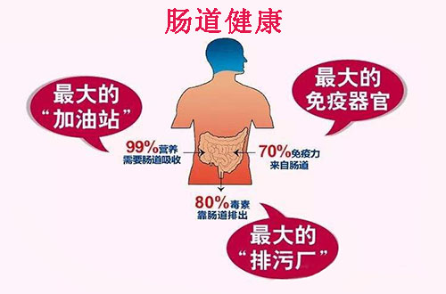 該如何保護(hù)腸道健康