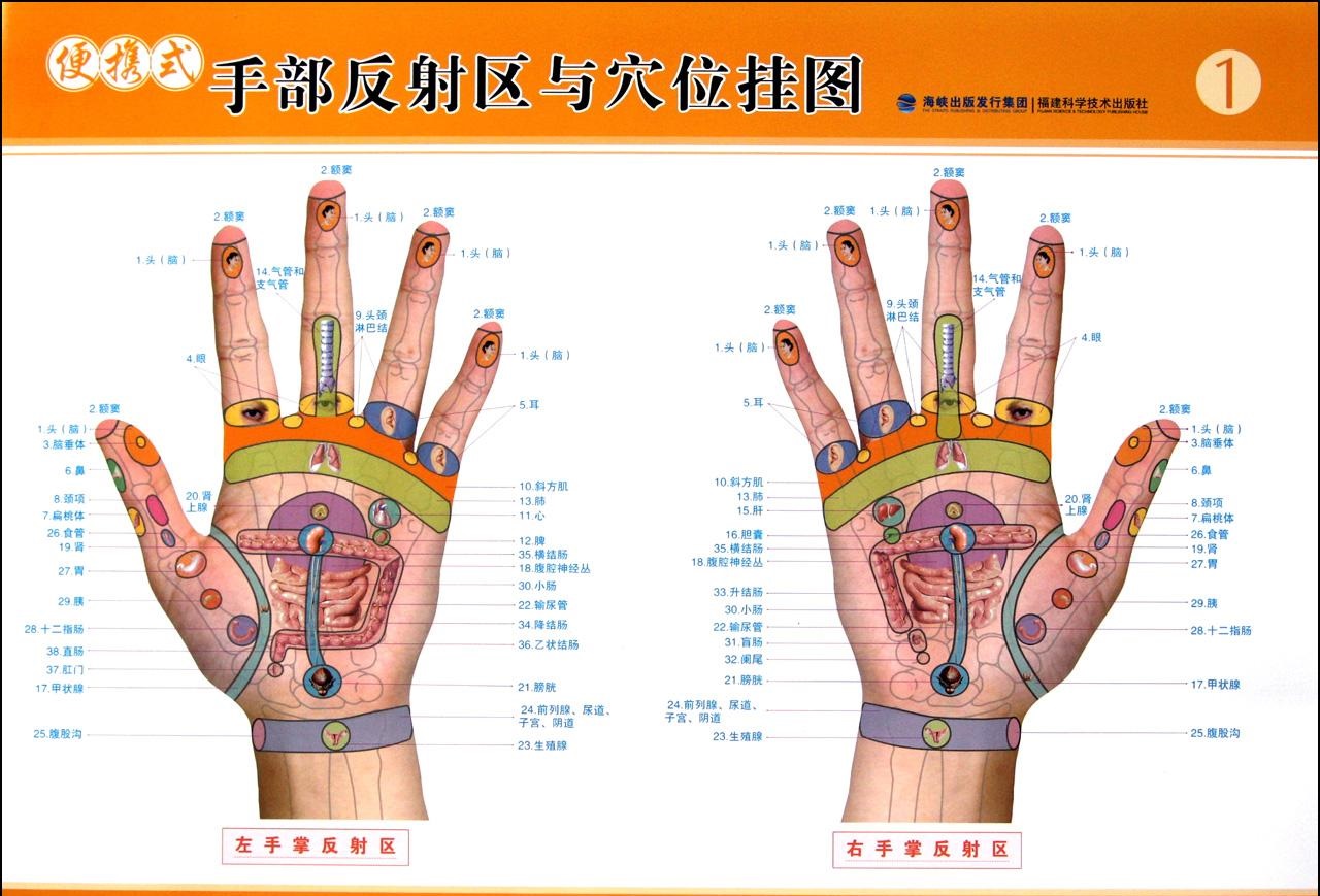 經(jīng)絡(luò)多久疏通一次好？